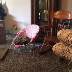 Meet your Posher, Danette